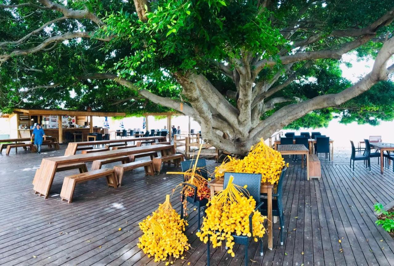 Marvel Tree Hotel Bozyazi Экстерьер фото