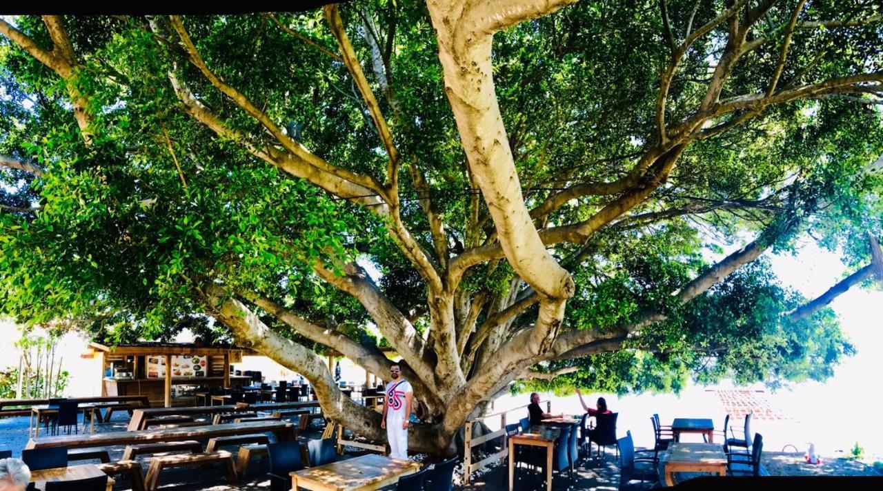 Marvel Tree Hotel Bozyazi Экстерьер фото