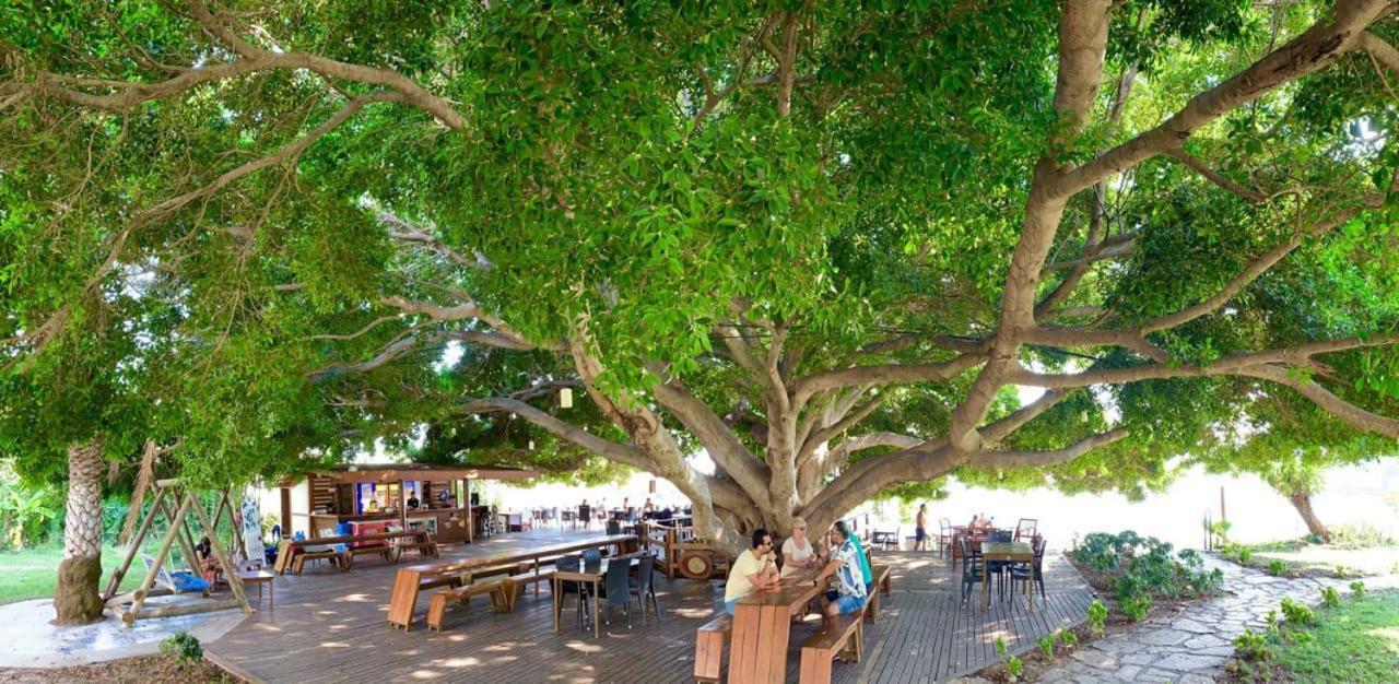 Marvel Tree Hotel Bozyazi Экстерьер фото